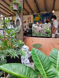 Phupha Coffee Camp ภูผา คอฟฟี่ แค้มป์