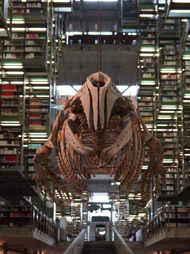 メキシコ｜死ぬまでに行きたい世界の図書館