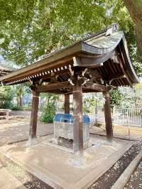 【埼玉県】猫絵の殿様と長い参道