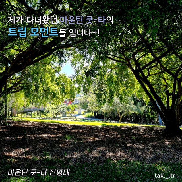 호주 브리즈번 마운틴 쿳-타 전망대와ㅡ식물원🇦🇺