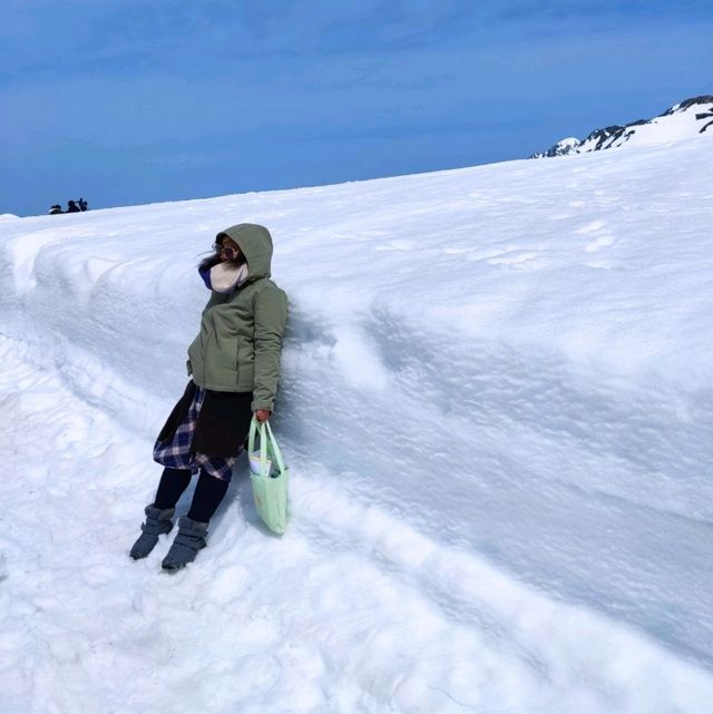 室堂雪之大谷，壯麗雪牆奇景。