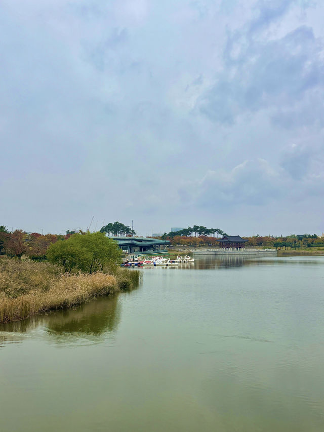 매일 산책하고 싶은 장소인 청라호수공원🌳💚