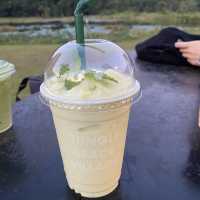 Jungle space village - คาเฟ่เขียวขจี จ.นครพนม