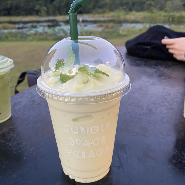 Jungle space village - คาเฟ่เขียวขจี จ.นครพนม