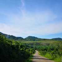 เที่ยวเกาะยาวน้อย จ.พังงา