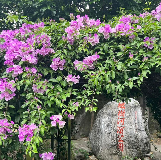 楓樹河濱公園