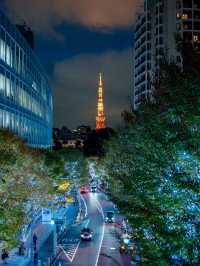 【東京】東京タワーと冬のイルミネーション🗼🩵