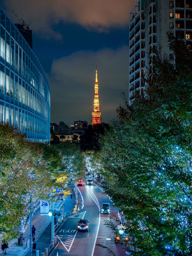 【東京】東京タワーと冬のイルミネーション🗼🩵