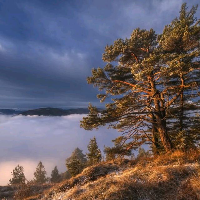 Bavarian Alps