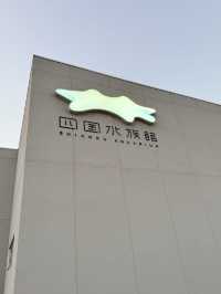 日本景點🇯🇵這個水族館太美了