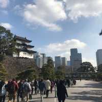 東京景點｜暢遊東京都心的綠洲—皇居外苑．千鳥之淵