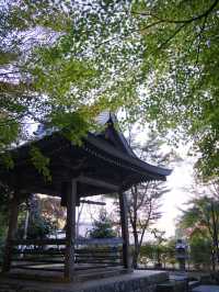 【ここ行って】本当は教えたくない🙅 1400年前建立の穴場紅葉寺院✨
