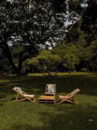 Mulberry mellow | Kanchanaburi, Thailand