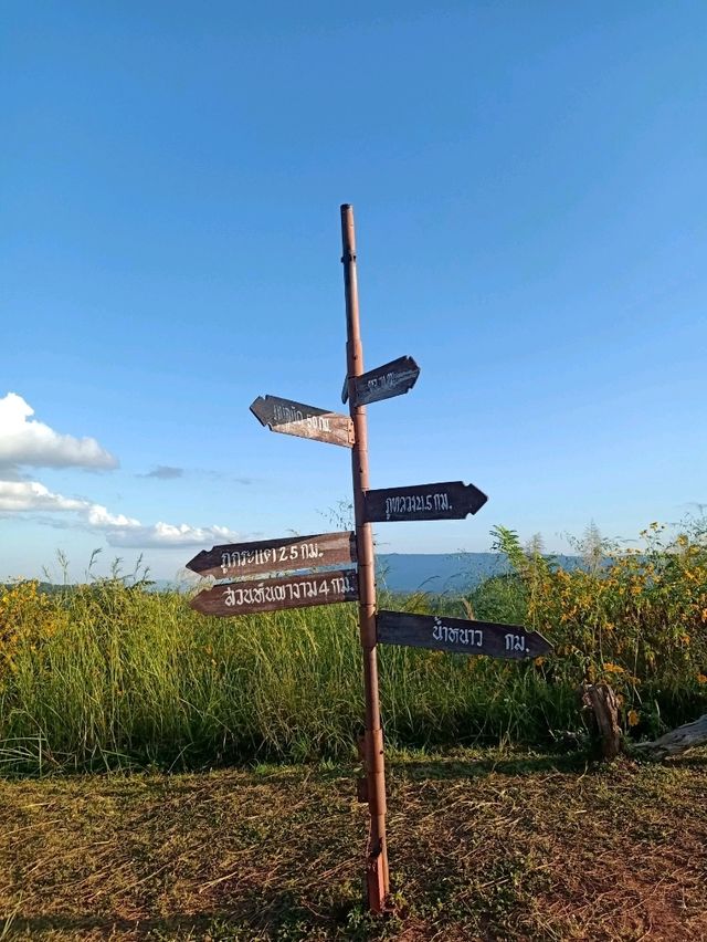 ชมวิวภูป่าเปาะ จังหวัดเลย