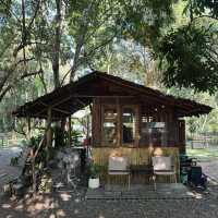 ปามานะ Pamana