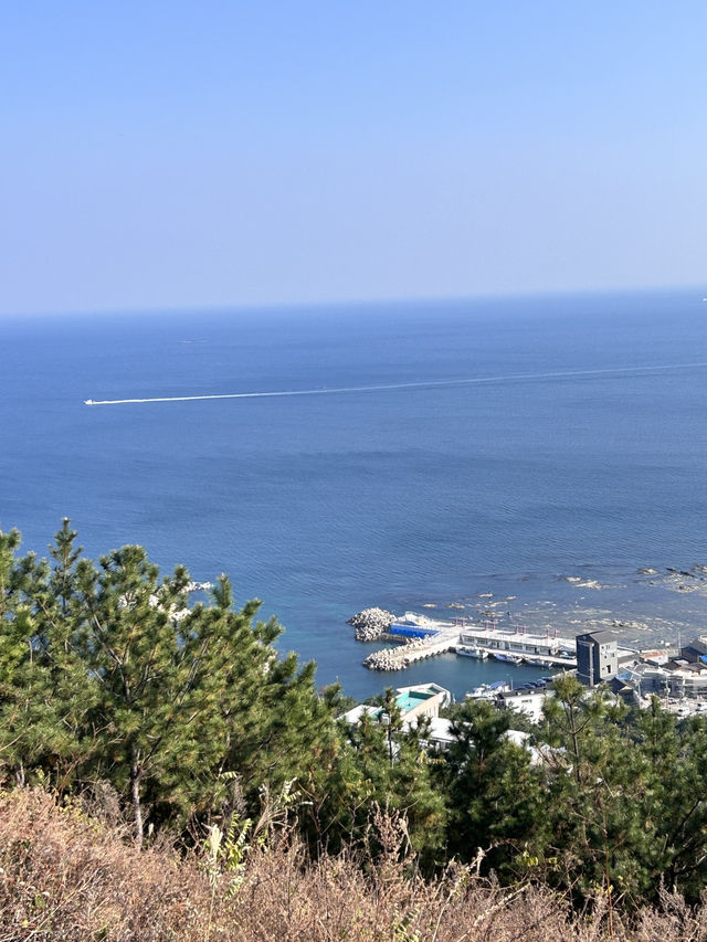 🇰🇷浦項✈️ 砂防紀念公園사방기념공원 