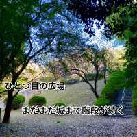 知多半島の城巡り　常滑市　大野城