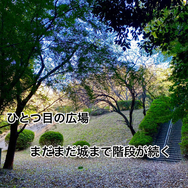 知多半島の城巡り　常滑市　大野城