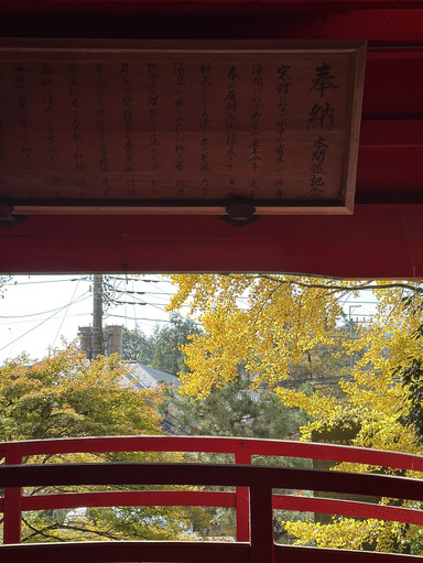 栃木×佐野】釘を使わない建築 朱塗りの舞台からの眺めが素晴らしい