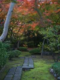 【ここ行って】次の週末以降でもまだ間に合う‼️川越観光ついででも行きたい紅葉スポット🍁