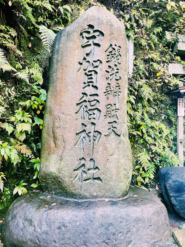 【神奈川県/鎌倉　“境内の湧き水で銭を洗うと富が増える”と言われている『銭洗弁財天 宇賀福神社』】