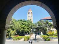 アメリカ観光　スタンフォード大学散策！