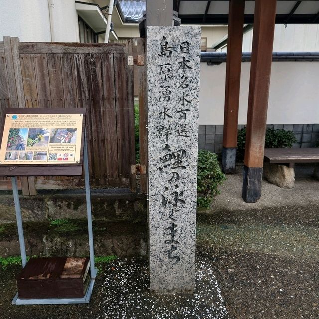 長崎観光！日本名水１００選の湧水「鯉の泳ぐまち」