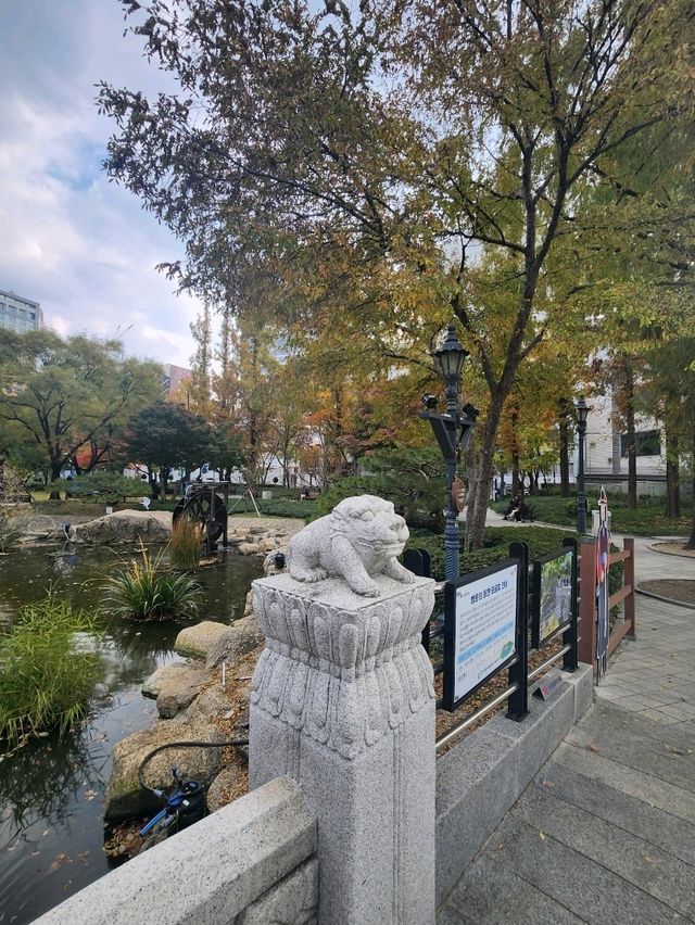 은행잎 가득히 떨어져 가을느낌 가득한 감영공원🌳