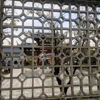 探索上海的起源：廣富林文化遺址&水下博物館