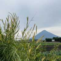 指宿：从长崎鼻去JR最南站打卡