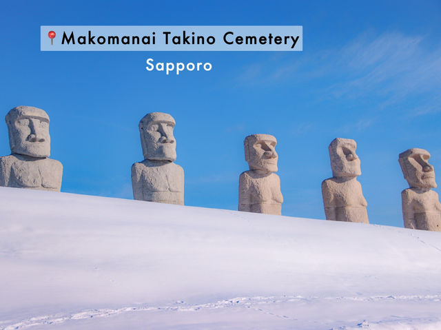 Hokkaido Winter~❄️🇯🇵