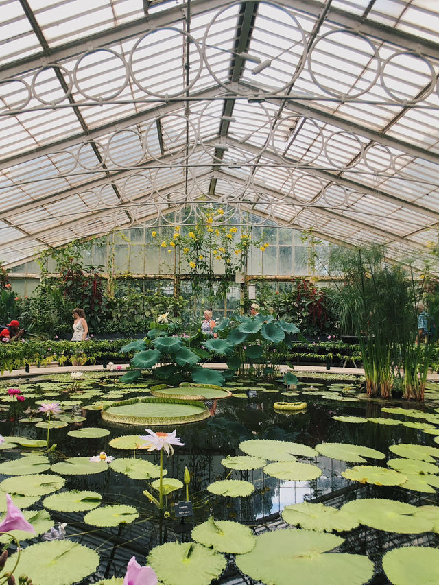 倫敦私藏綠洲 植物迷的天堂Kew Gardens