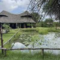 Magnificent Antelope at Nguuni