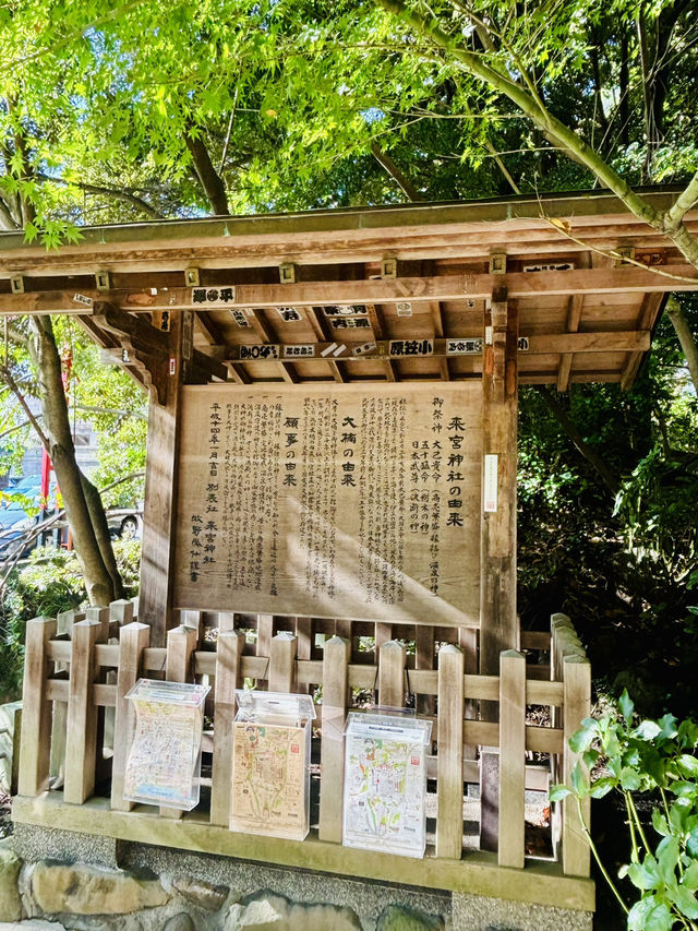 【日本伊東】來宮神社：日本能量景點，樹齡超過2000年的巨楠