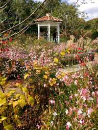 The Beauty of Seoul is Seoul Forest