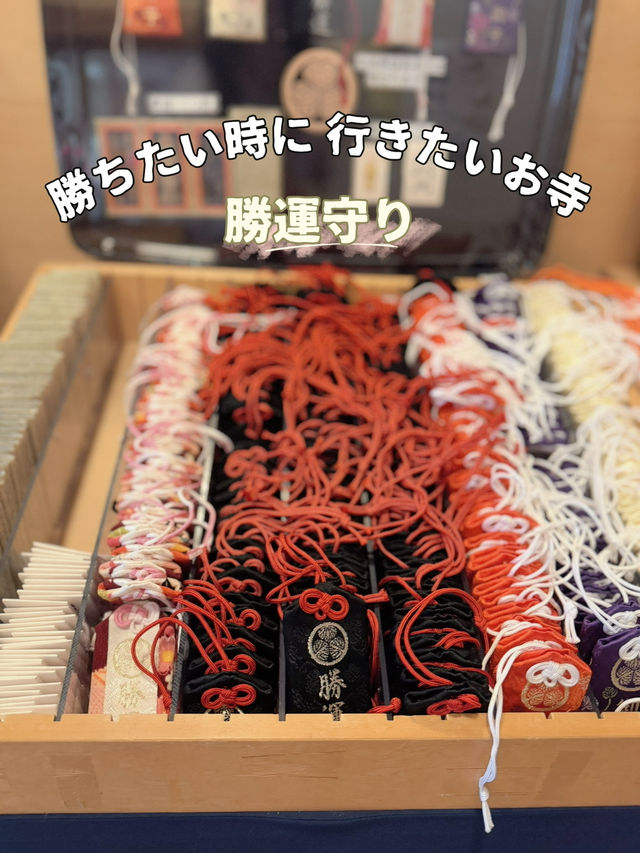【東京】初詣にもおすすめ🤍勝ちたい時に行きたい!!徳川家康のパワーを貰おう