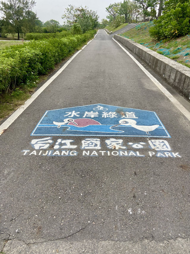 🥰🤍白色浪漫～南區必去國家生態公園🏞️🌳