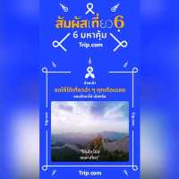 🌻✨ ปักหมุดที่เที่ยวสุดว้าว! ทุ่งทานตะวัน กฟผ. ไทร