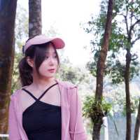 ทริปเที่ยวน้ำตกลาวใต้