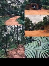 Doi Khun Tan National Park