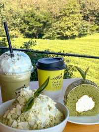 จิบชาชมวิวปังไม่ไหวที่ไร่ชาฉุยฟง เชียงราย🍵🌱🌱
