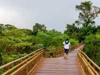 Camino Del Macuco...아르헨티나 이과수