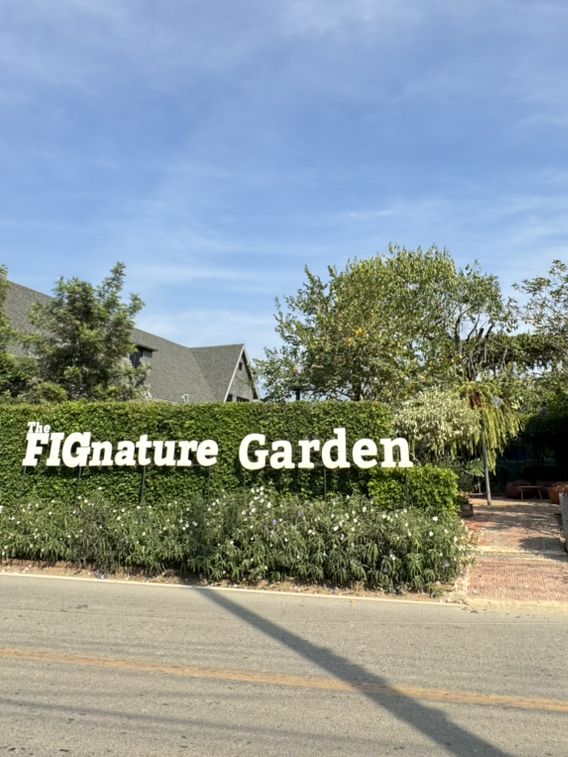 The FIGnature Garden คาเฟ่ร้านอาหารบรรยากาศดี