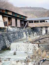 【冬の栃木那須の旅】  栃木最古の湯  48℃の湯が・・ポカポカ すべすべ