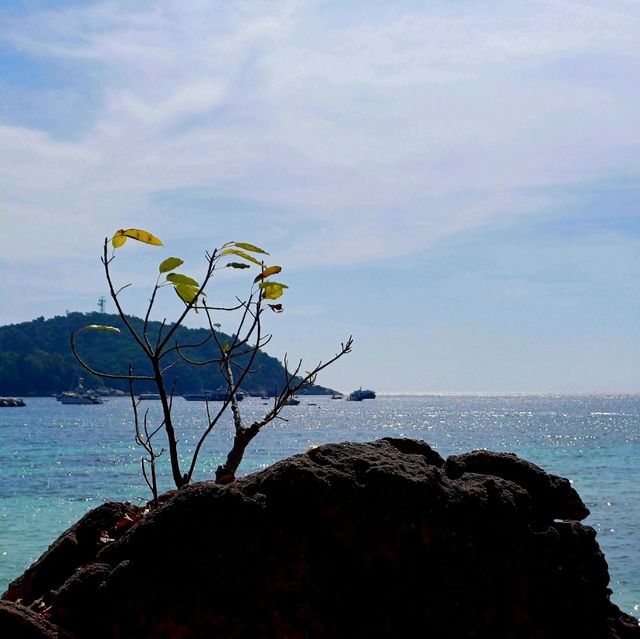 泰國麗貝島絕美海灘景點:Daya Beach，果凍玻璃海，適合拍照📸打卡游泳