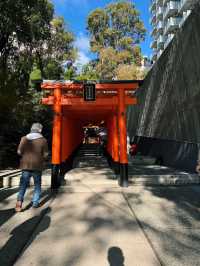 Serenity and History at Ikuta Jinja in Kobe