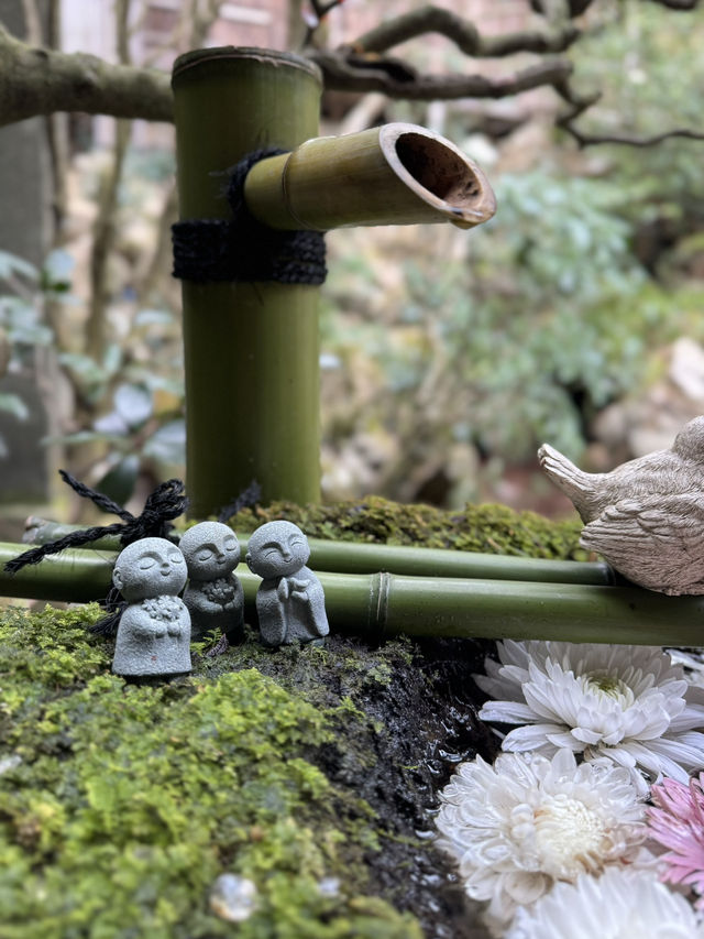 【京都・長岡京市】🍃 柳谷観音 楊谷寺 で心洗われる冬のひととき✨