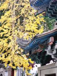 ✨Baolun temple Chongqing
