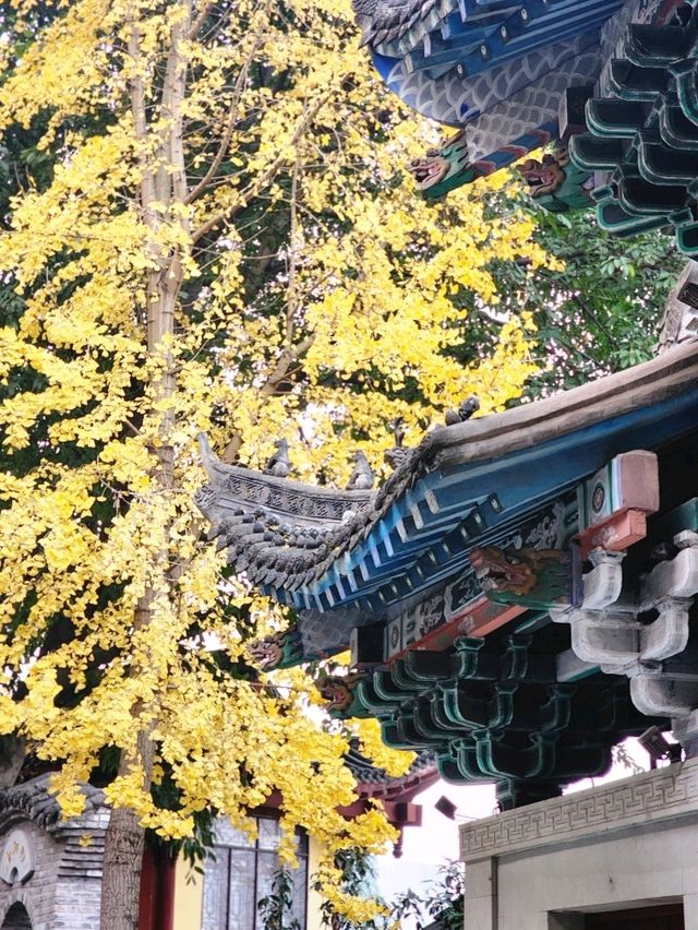 ✨Baolun temple Chongqing