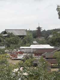 【広島】広島の絶景、厳島神社⛩️